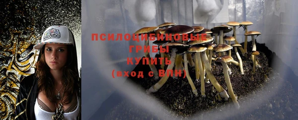mix Вяземский