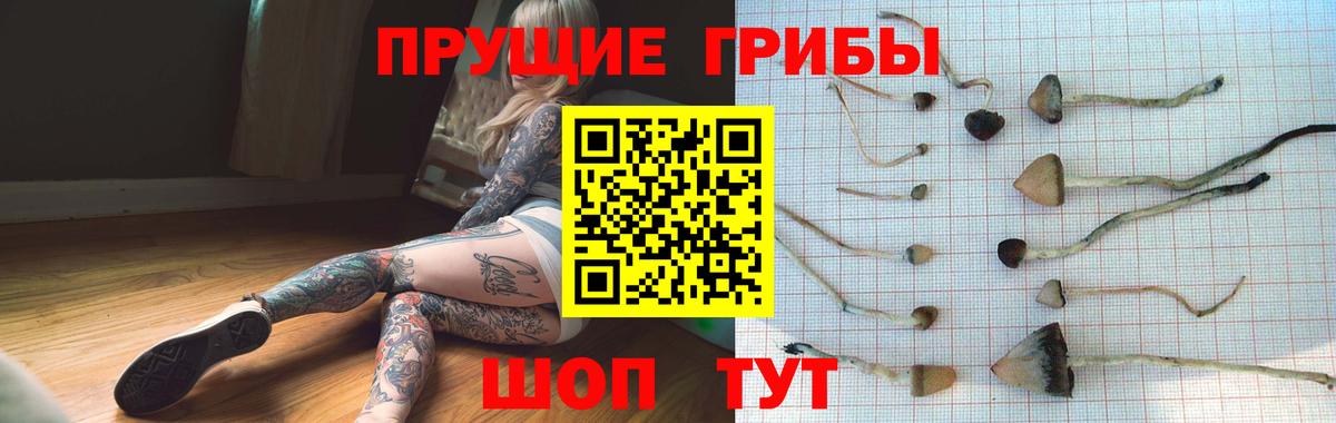 Североуральск  Галлюциногенные грибы ЛСД  Вход с VPN 